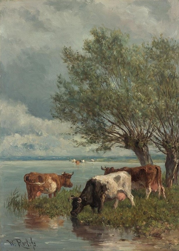 koeien aan de plas